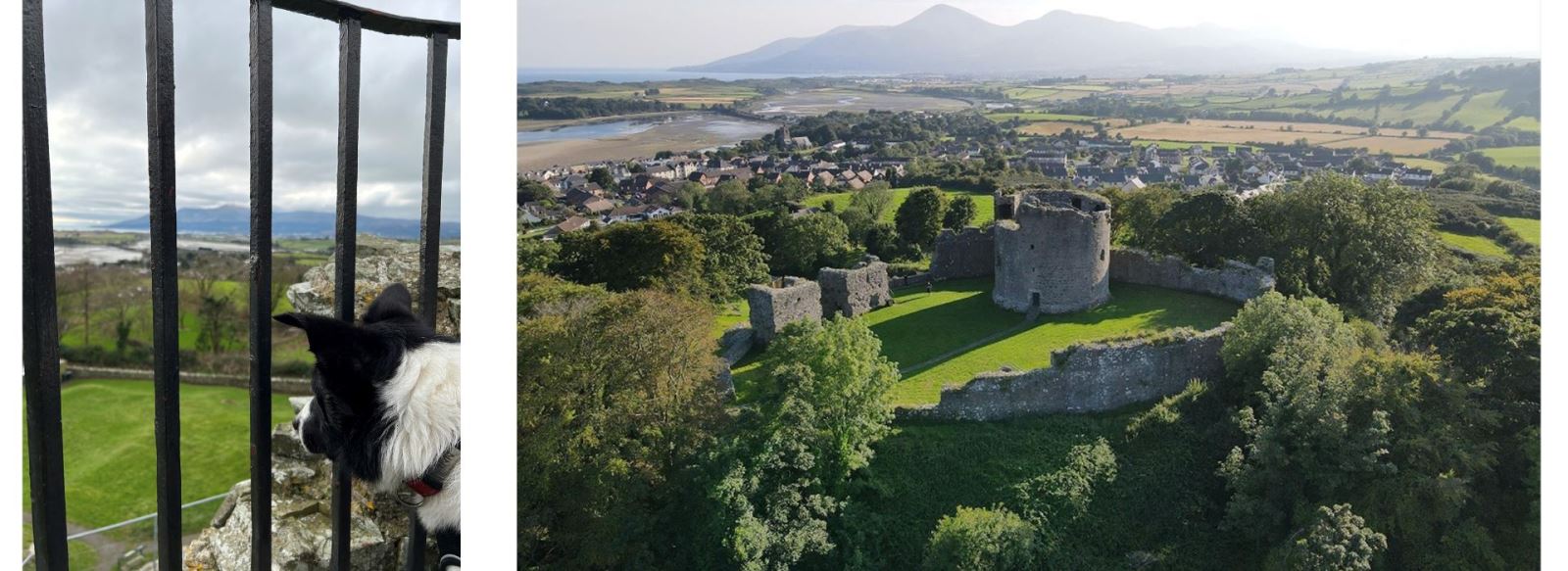 View from Dundrum Castle